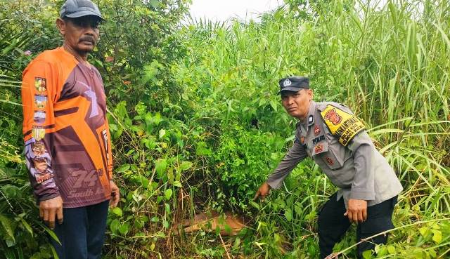 Kapolres Aceh Timur Imbau Warga Awasi Hewan Ternaknya